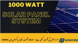Read more about the article How Much Does a 1000W Solar Panel Cost in Pakistan? – 2025 Price Guide