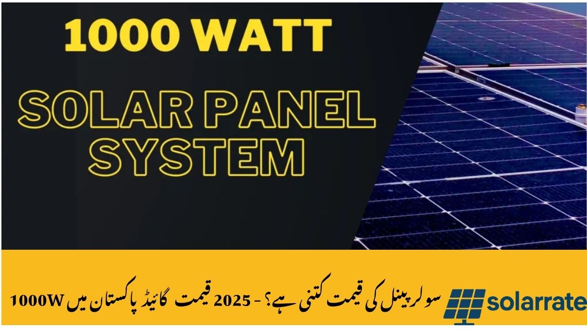 Read more about the article How Much Does a 1000W Solar Panel Cost in Pakistan? – 2025 Price Guide