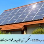 Net Metering Punjab 2025