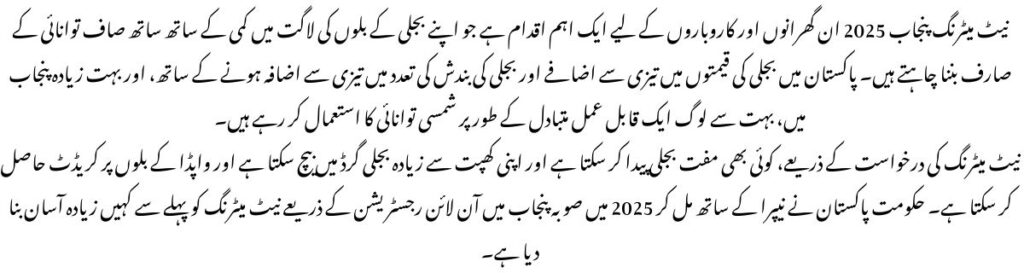 Net Metering Punjab 2025
